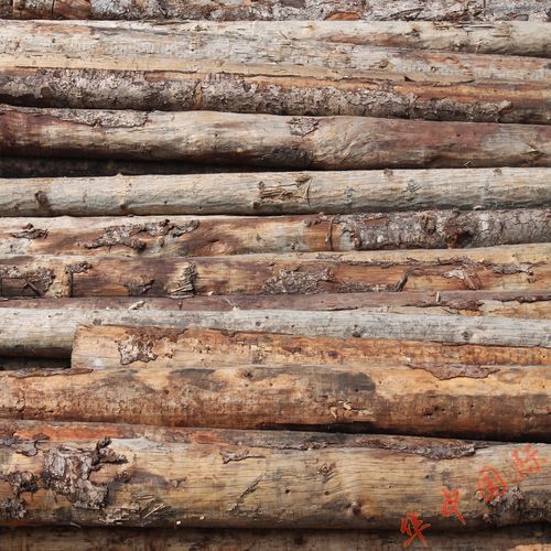 江西白松原木木板材 原木材料 专业加工 耐腐耐磨建筑材料