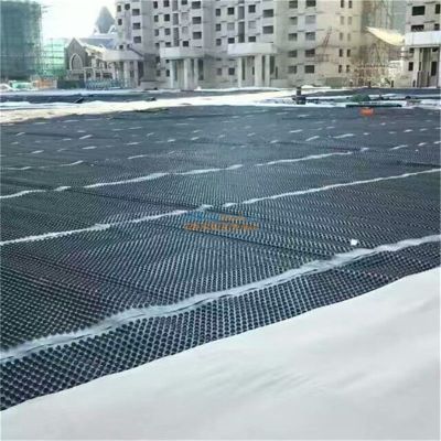 山东塑料排水板生产厂家